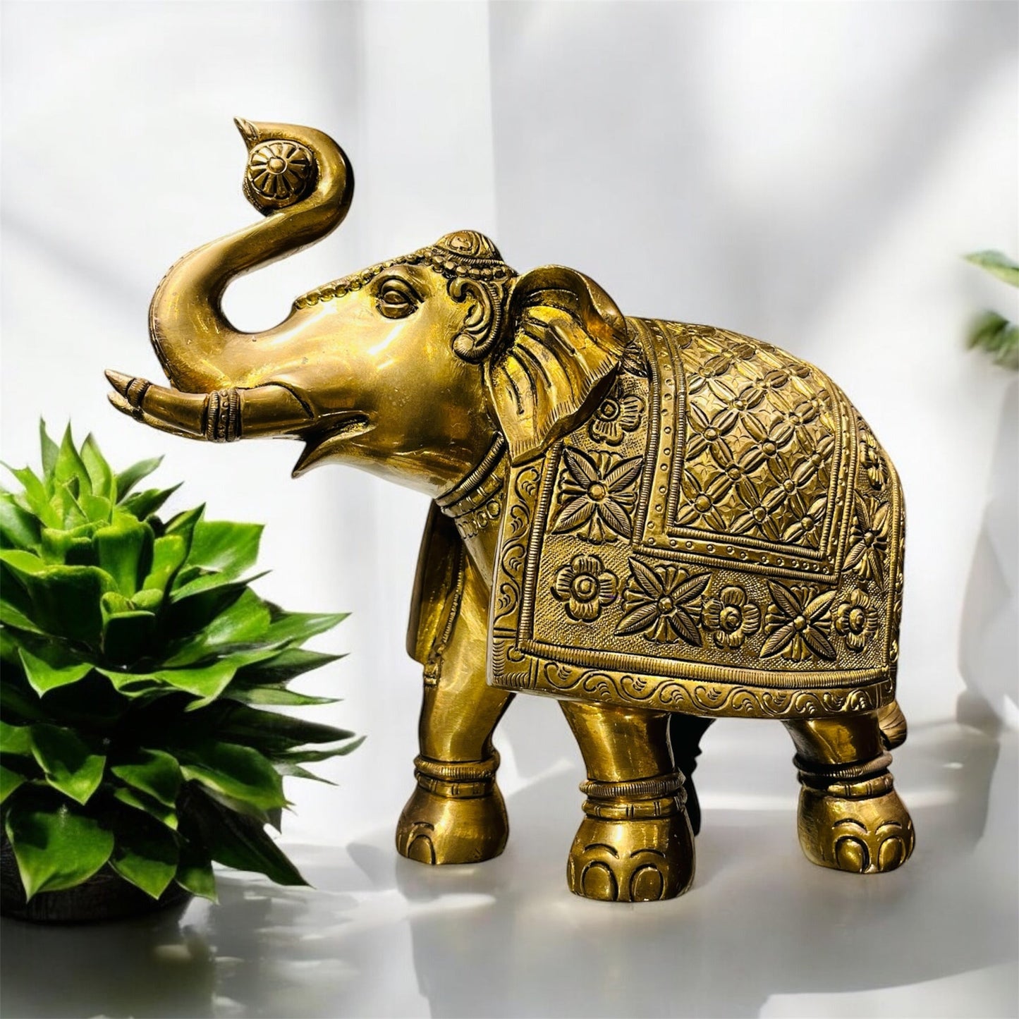 Elephant Big