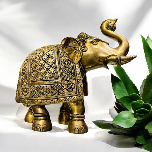 Elephant Big