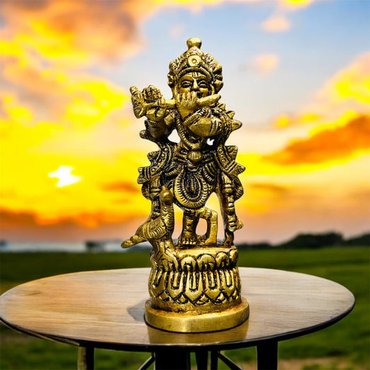 Tiny Krishna